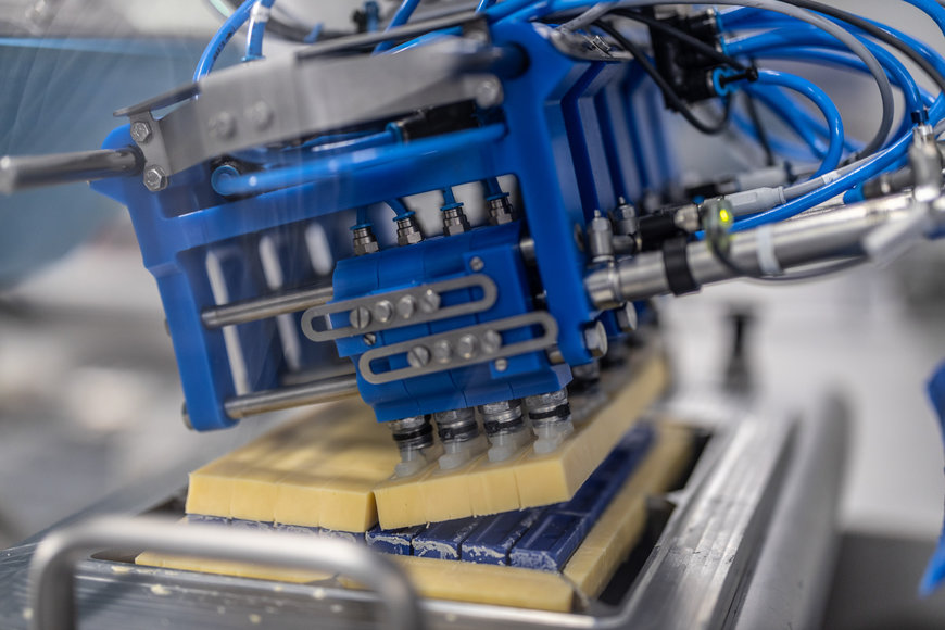 Die niederländische Familienmarke Vepo Cheese setzt auf eine vollauto-matisierte Produktionslinie: Zwei KR AGILUS Hygieneroboter von KUKA verarbeiten Käse zu Sticks und führen sie einer Verpackungsmaschine zu